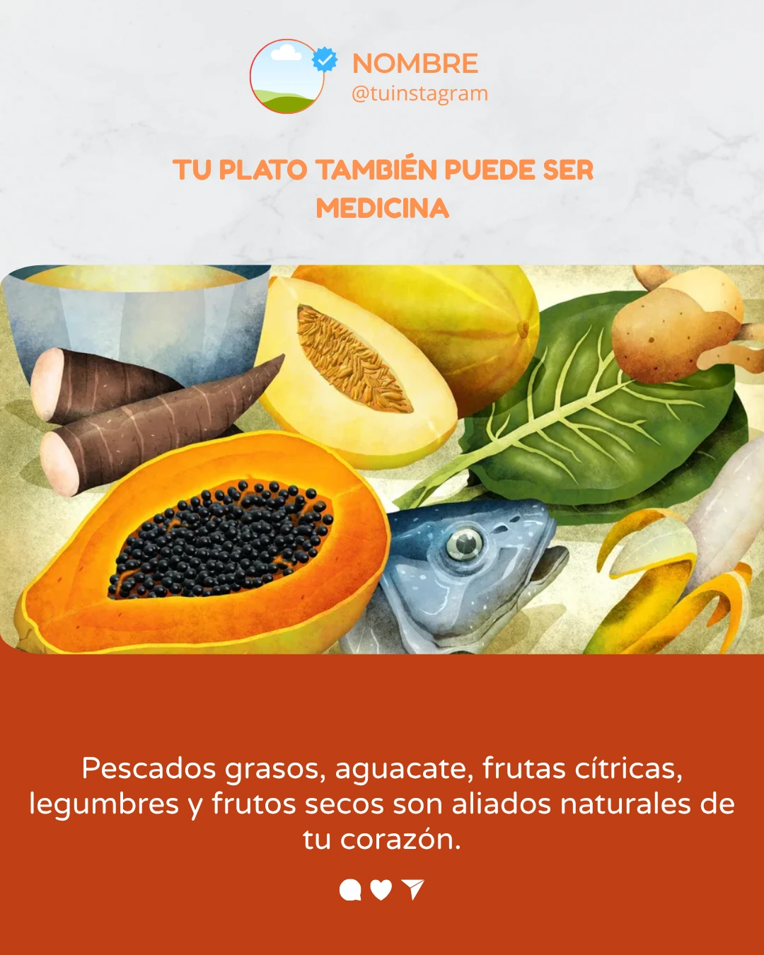 Plantilla feed