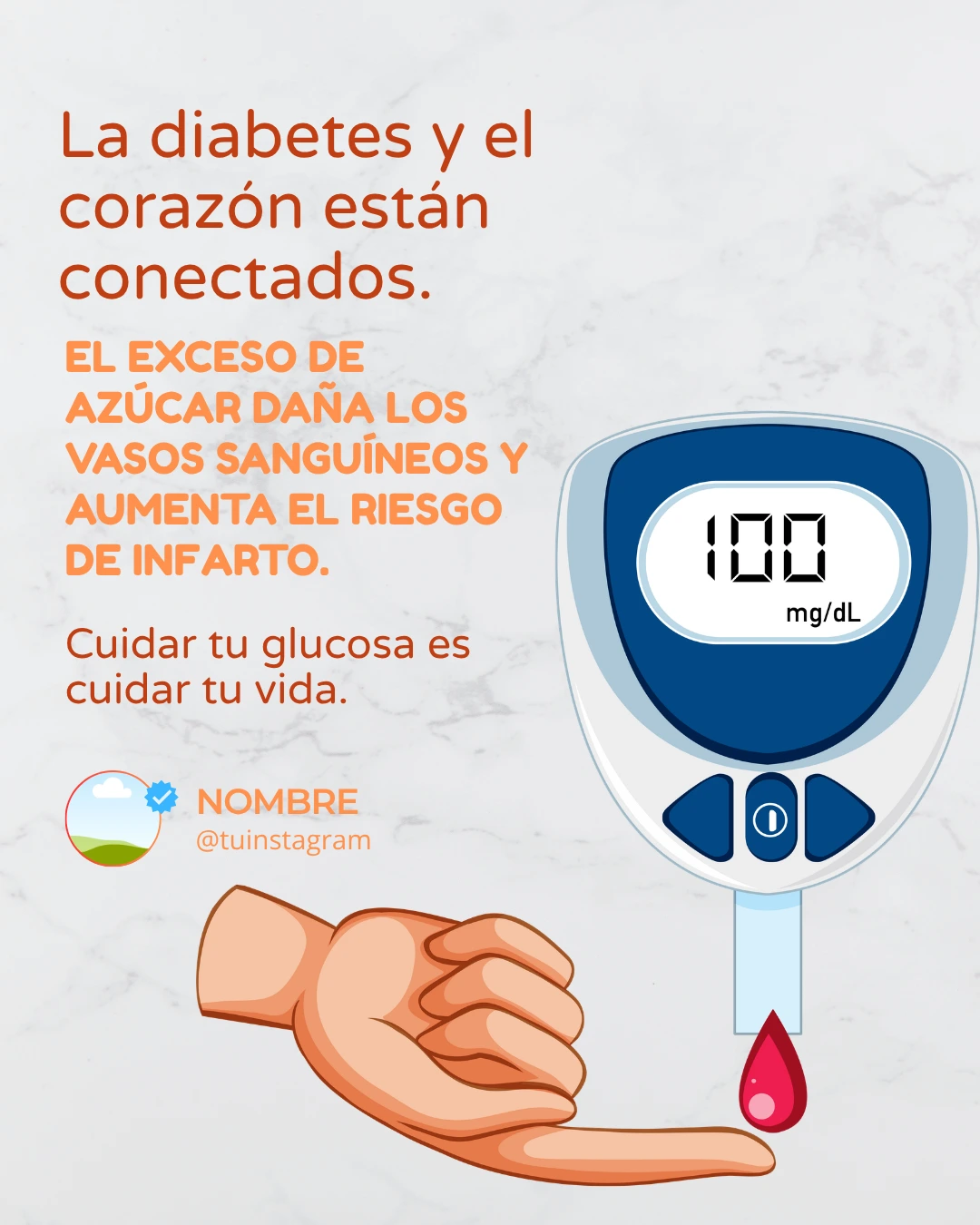 Plantilla feed