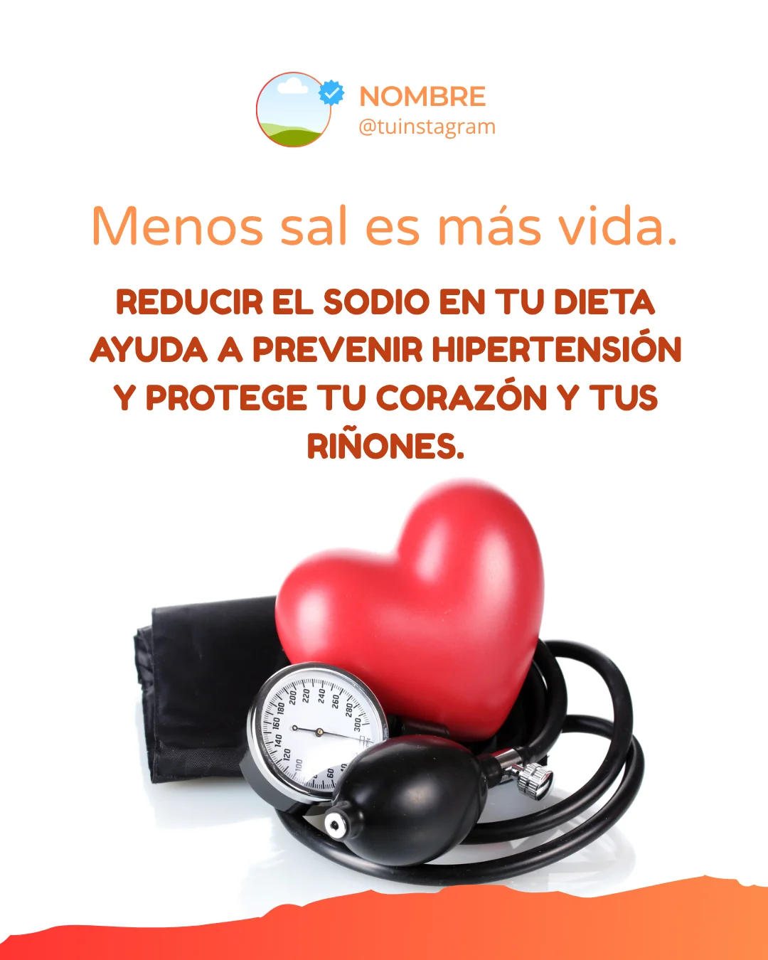 Plantilla feed