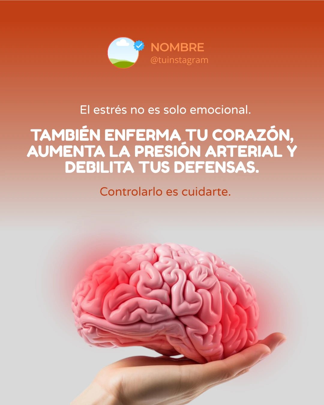 Plantilla feed