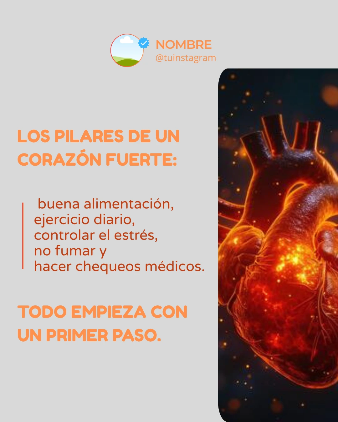 Plantilla feed