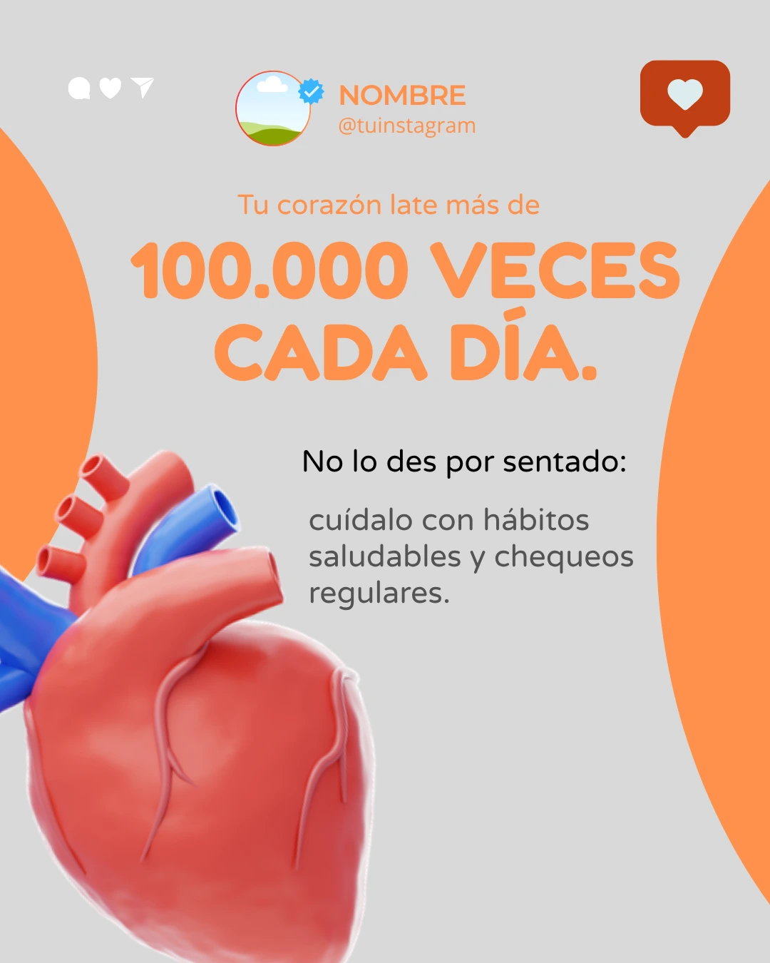 Plantilla feed